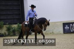 25BUCKEYE_08500 thumbnail