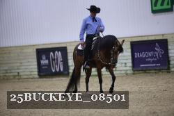 25BUCKEYE_08501 thumbnail