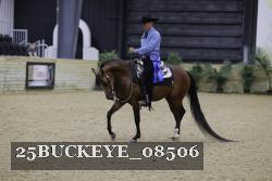 25BUCKEYE_08506 thumbnail