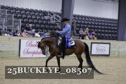 25BUCKEYE_08507 thumbnail