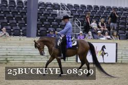 25BUCKEYE_08509 thumbnail