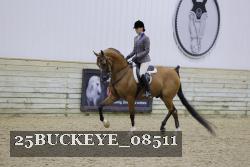 25BUCKEYE_08511 thumbnail