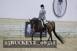 25BUCKEYE_08512 thumbnail