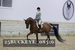 25BUCKEYE_08516 thumbnail