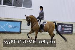 25BUCKEYE_08520 thumbnail