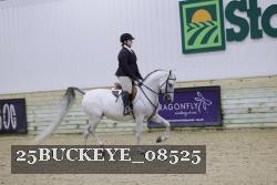 25BUCKEYE_08525 thumbnail