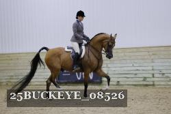 25BUCKEYE_08526 thumbnail