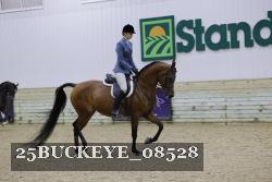 25BUCKEYE_08528 thumbnail