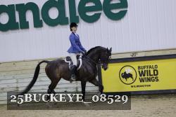 25BUCKEYE_08529 thumbnail
