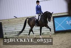 25BUCKEYE_08532 thumbnail