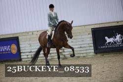 25BUCKEYE_08533 thumbnail