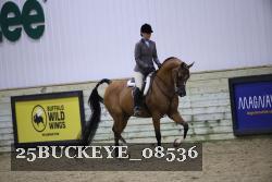 25BUCKEYE_08536 thumbnail