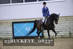 25BUCKEYE_08537 thumbnail