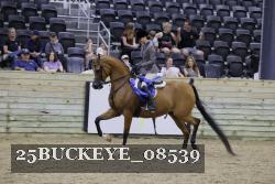 25BUCKEYE_08539 thumbnail