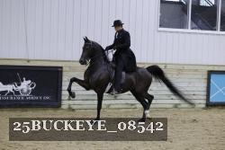 25BUCKEYE_08542 thumbnail