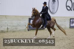 25BUCKEYE_08543 thumbnail