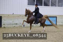 25BUCKEYE_08544 thumbnail