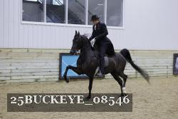 25BUCKEYE_08546 thumbnail