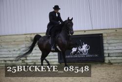 25BUCKEYE_08548 thumbnail