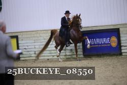 25BUCKEYE_08550 thumbnail