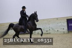 25BUCKEYE_08551 thumbnail