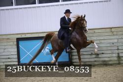 25BUCKEYE_08553 thumbnail