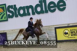 25BUCKEYE_08555 thumbnail