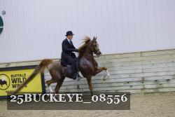 25BUCKEYE_08556 thumbnail
