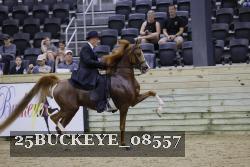 25BUCKEYE_08557 thumbnail