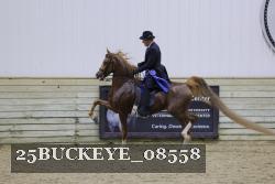 25BUCKEYE_08558 thumbnail