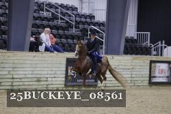 25BUCKEYE_08561 thumbnail