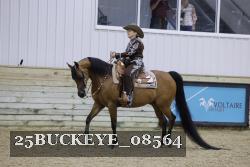 25BUCKEYE_08564 thumbnail