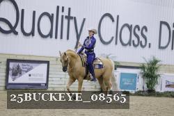 25BUCKEYE_08565 thumbnail