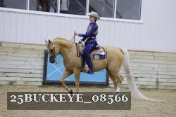 25BUCKEYE_08566 thumbnail