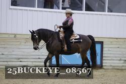 25BUCKEYE_08567 thumbnail