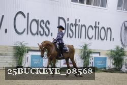 25BUCKEYE_08568 thumbnail