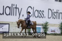 25BUCKEYE_08569 thumbnail
