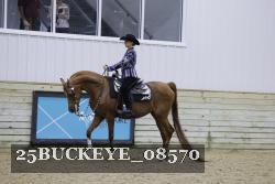 25BUCKEYE_08570 thumbnail