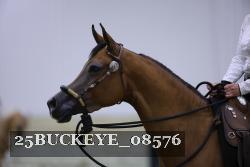 25BUCKEYE_08576 thumbnail