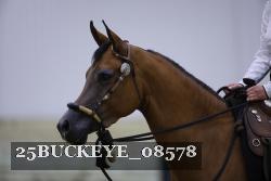 25BUCKEYE_08578 thumbnail