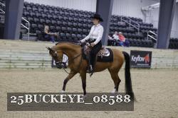 25BUCKEYE_08588 thumbnail