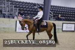 25BUCKEYE_08589 thumbnail