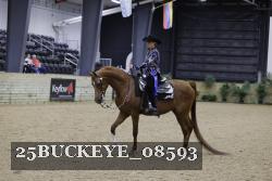25BUCKEYE_08593 thumbnail