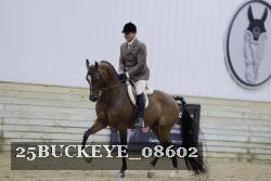 25BUCKEYE_08602 thumbnail