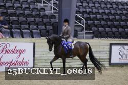 25BUCKEYE_08618 thumbnail
