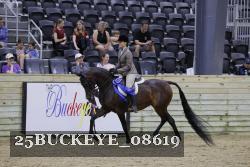 25BUCKEYE_08619 thumbnail