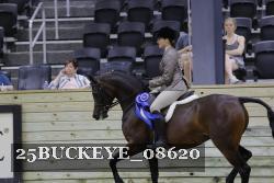 25BUCKEYE_08620 thumbnail