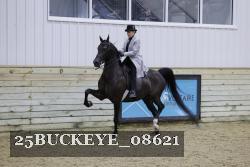 25BUCKEYE_08621 thumbnail