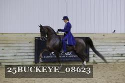 25BUCKEYE_08623 thumbnail