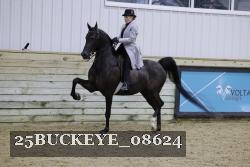 25BUCKEYE_08624 thumbnail